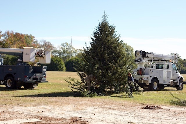 Holiday tree arrives at Fort Bragg signifying the start of season cheer