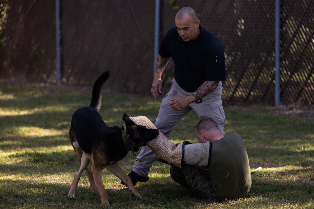 Attaches visit MCAS Beaufort