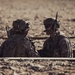 Gunsmoke in the trenches: 2/1 Marines conduct platoon attacks at range 410A