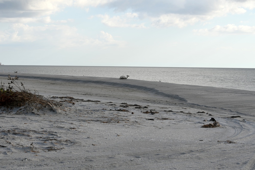 Beaches Remain Closed Following Hurricane Ian