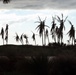 Palm Trees in the Path of Hurricane Ian Are Destroyed