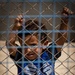 A boy peers through the fence line at al Hol camp during a US Civil Affairs team visit