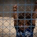 A young child peers through the fence at al Hol camp during a US Civil Affairs team visit