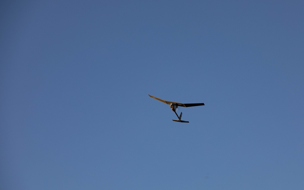 2BCT Soldiers conduct raven qualification training