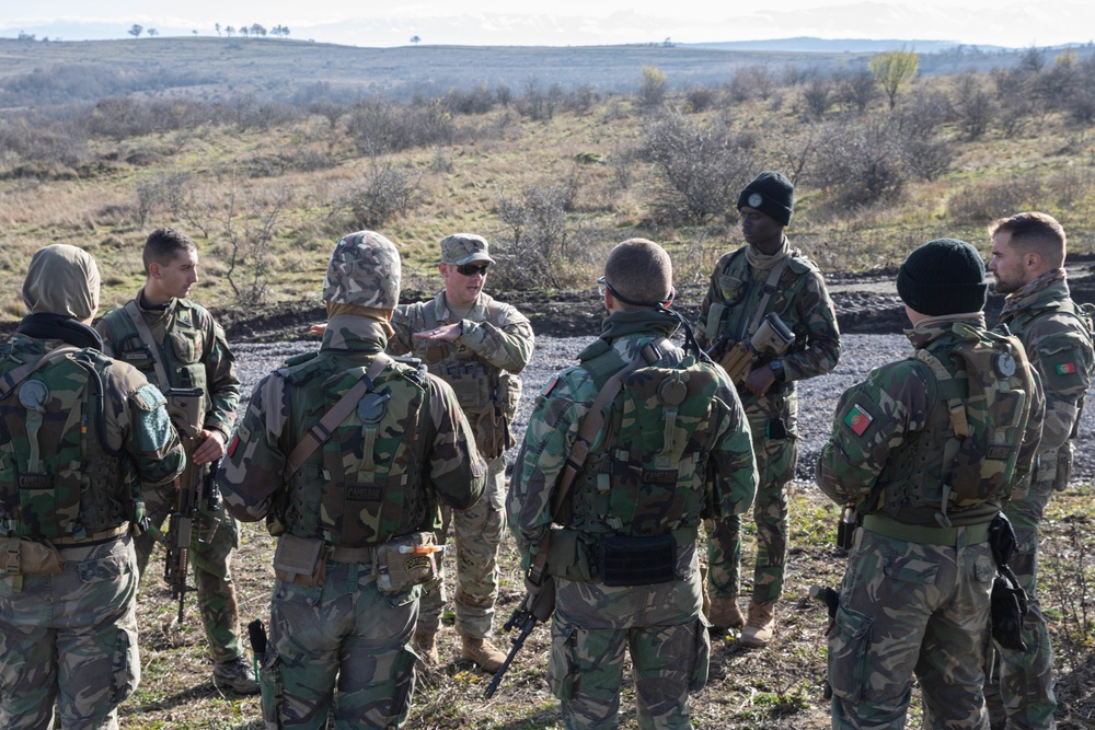 Exercise Black Scorpion with NATO Allies