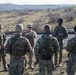Exercise Black Scorpion with NATO Allies