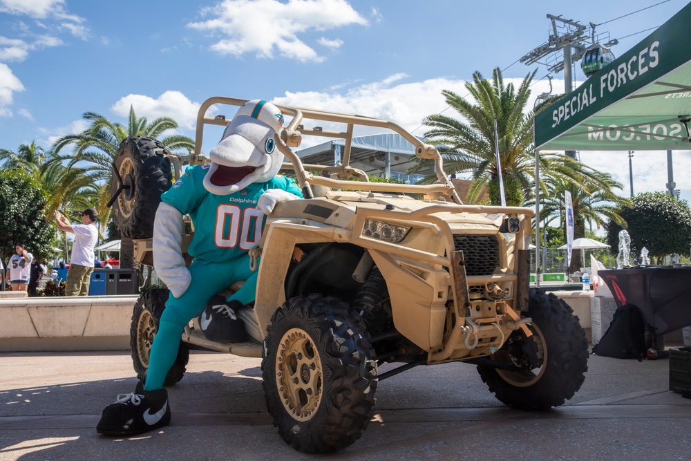 Miami Dolphins Salute to Service, Dolphins Salute to Service