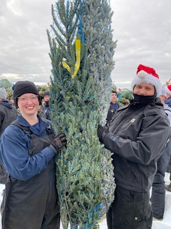 Mackinaw crew loads trees for annual Christmas Ship journey