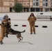 341st Training Squadron Military Working Dog Expo