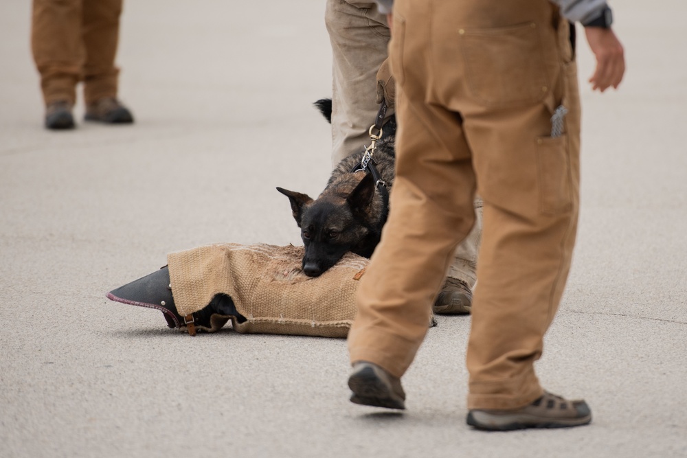 341st Training Squadron Military Working Dog Expo