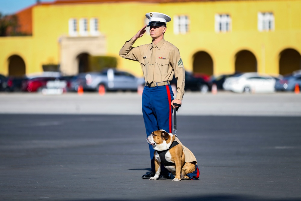 Alpha Company Graduation Ceremony