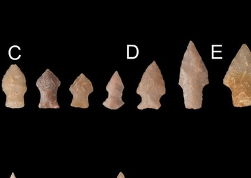 Fort McCoy ArtiFACT: Hixton silicified sandstone