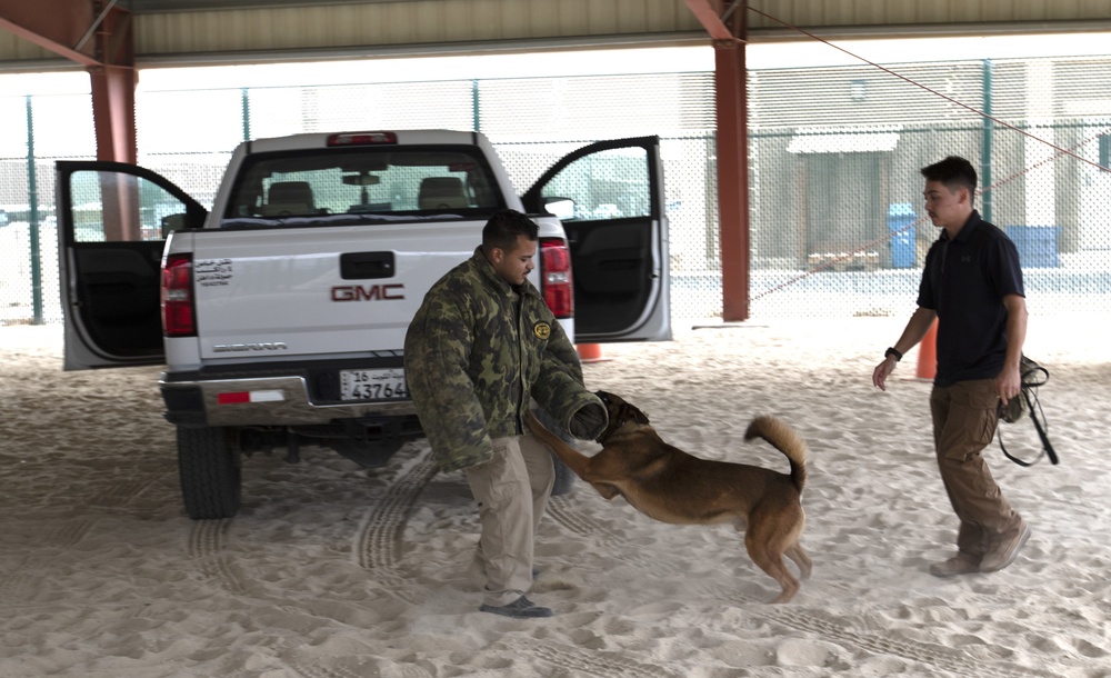 Task Force Spartan Soldiers train with military working dog