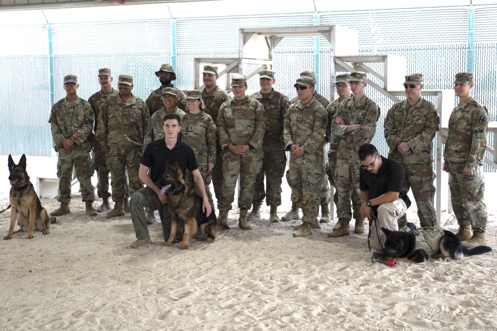 Task Force Spartan Soldiers train with military working dog