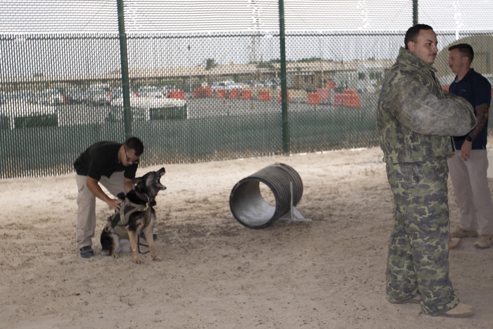 Task Force Spartan Soldiers train with military working dog