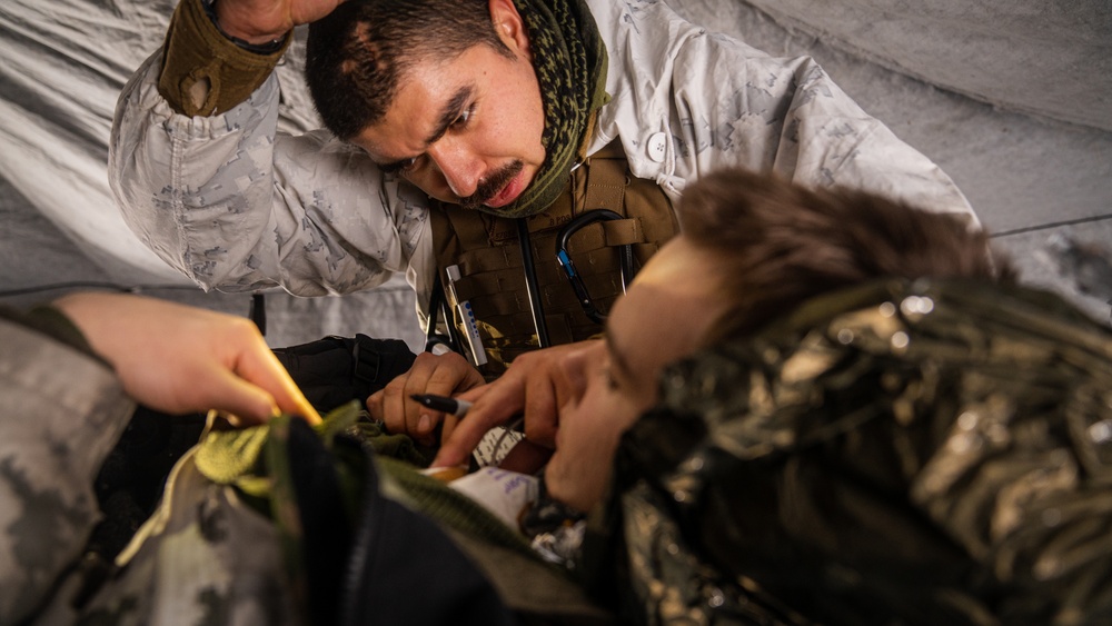 U.S. Marines and Sailors with Combat Logistics Battalion 6 Conduct Simulated Casualty Evacuation Training During Exercise Freezing Winds 22