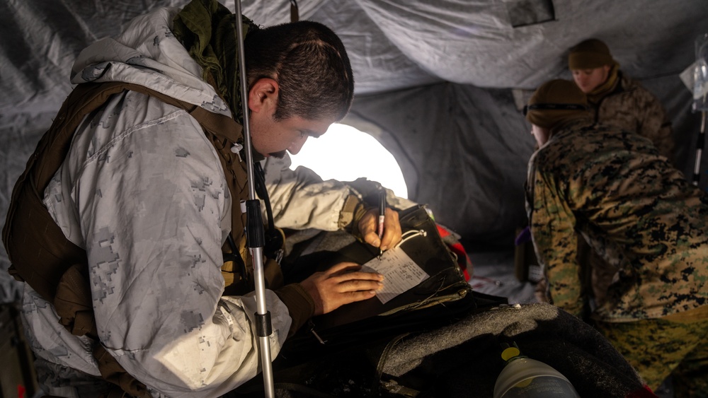 U.S. Marines and Sailors with Combat Logistics Battalion 6 Conduct Simulated Casualty Evacuation Training During Exercise Freezing Winds 22