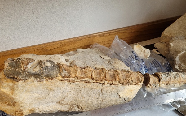 Omaha District Cultural Resources Program partners to preserve the past of public lands