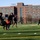 9th Marine Corps District HQ Turkey Bowl 2022 9th Marine Corps District HQ Turkey Bowl 2022