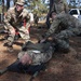 Alabama National Guard Soldiers and Airmen conduct realistic CASEVAC training