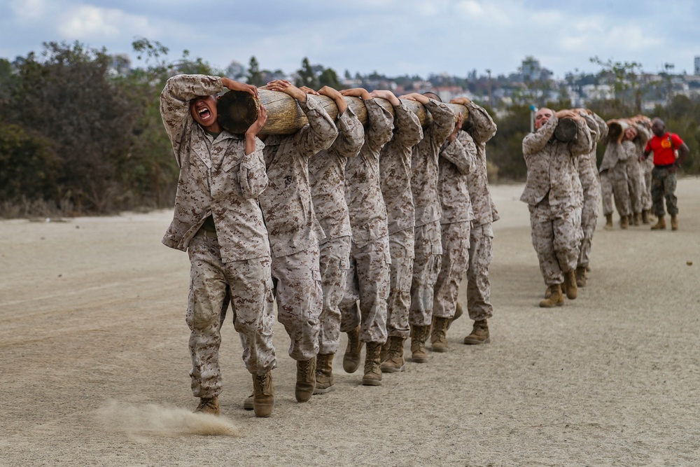 Bravo Company Log Drills