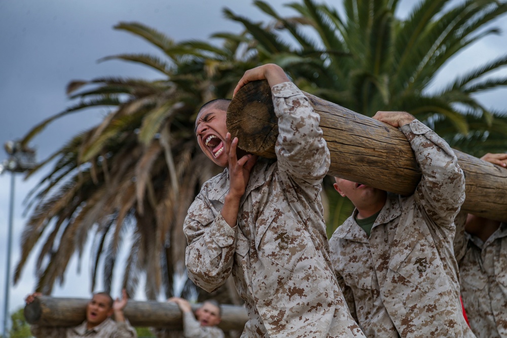 Bravo Company Log Drills