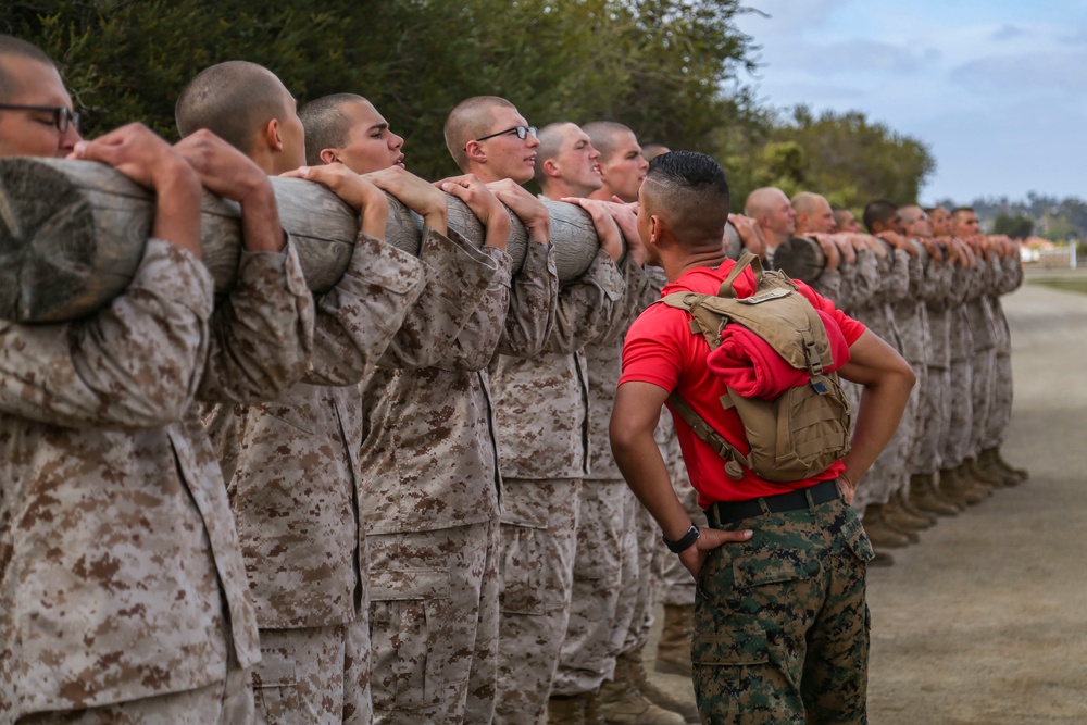 Bravo Company Log Drills