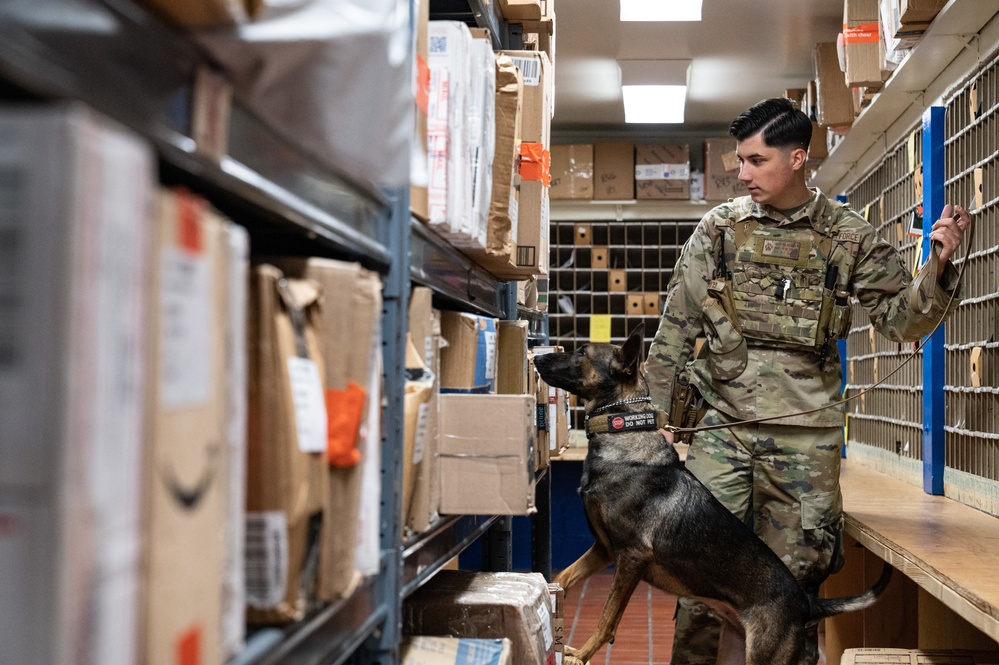 Postal Services Flight flexes to meet holiday ops tempo