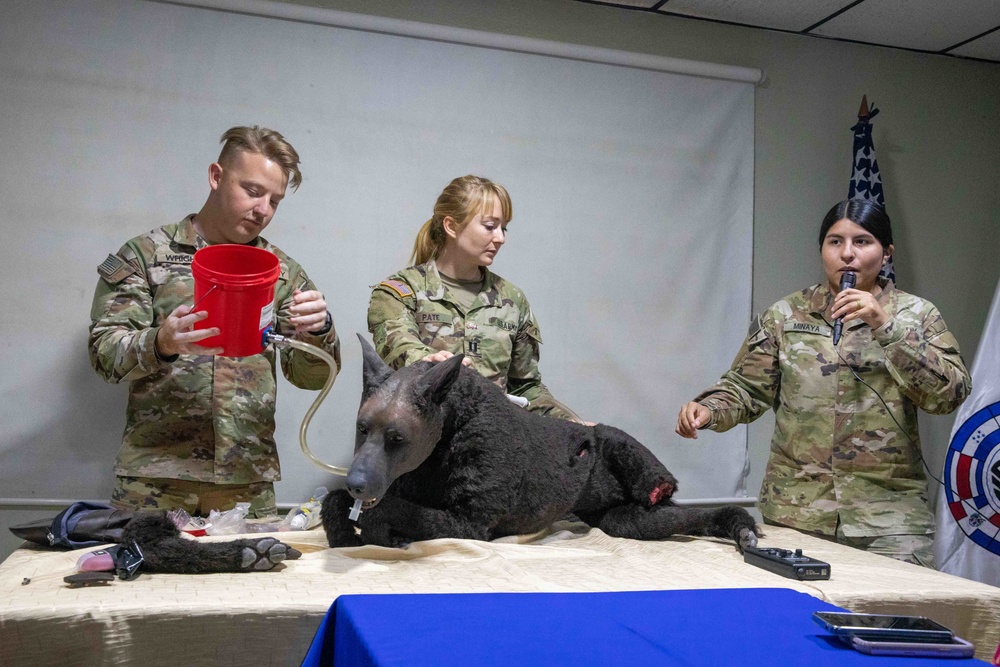 Soldiers assigned to USNS Comfort participate in SMEE during CP22 - Dominican Republic