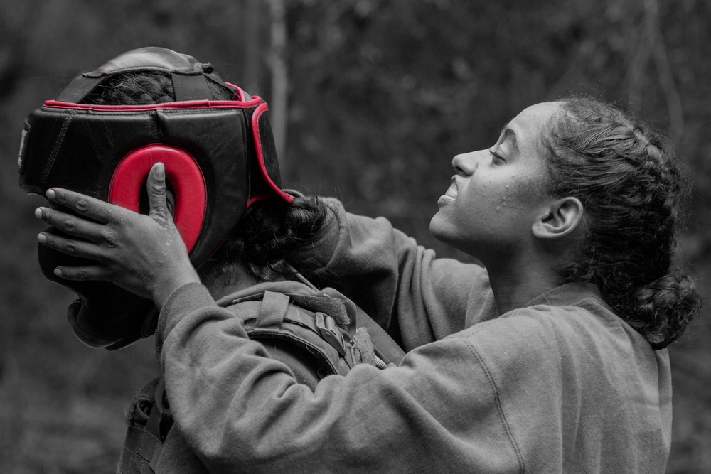 Hotel Company Body Sparring