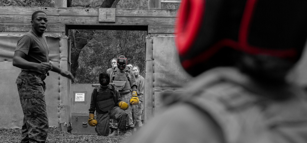 Hotel Company Body Sparring