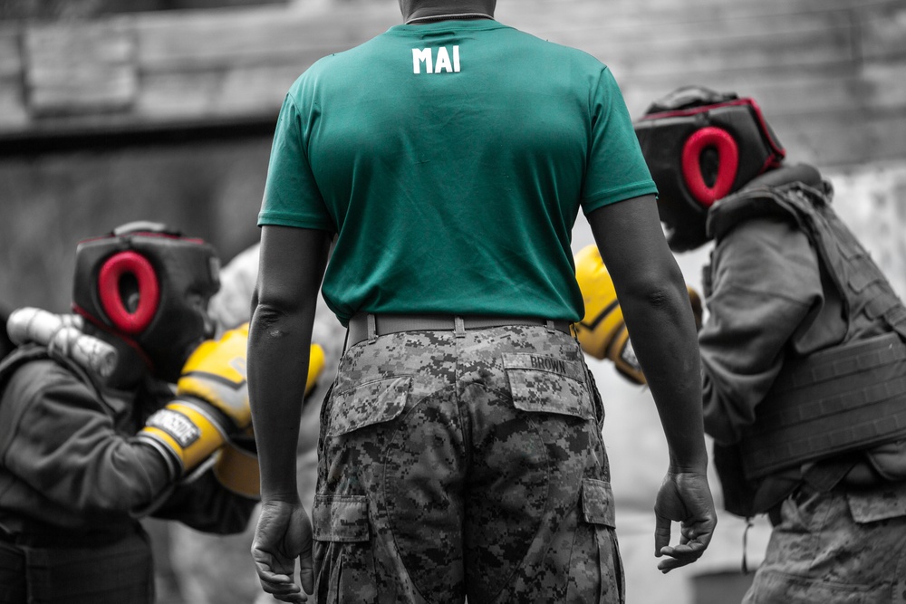 Hotel Company Body Sparring