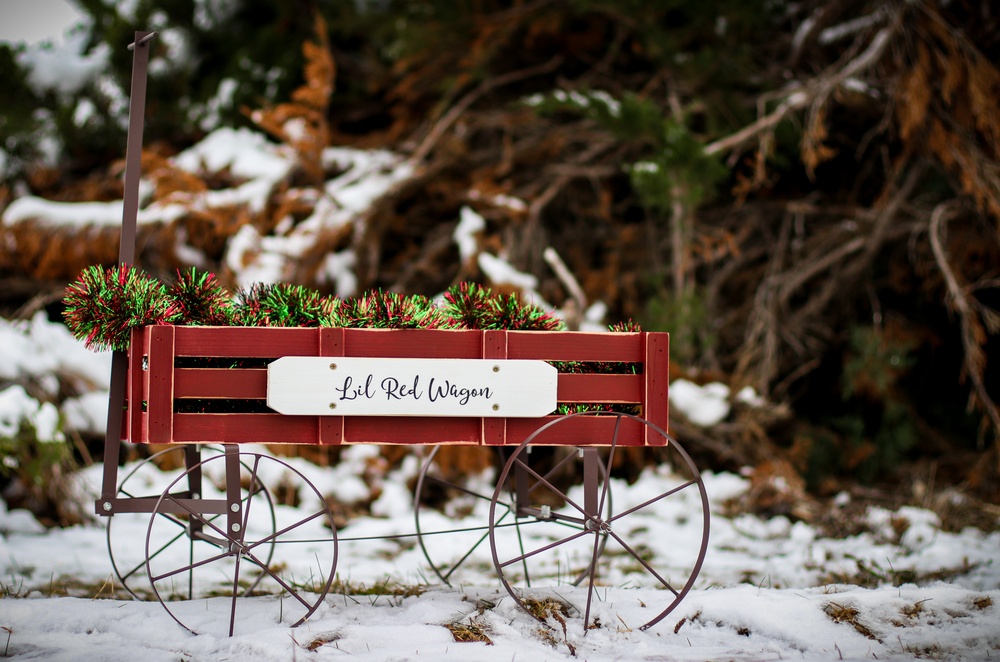 “Sully’s Lil Red Wagon:” Iowa Soldier gives back to community