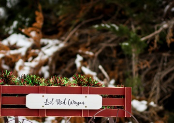 “Sully’s Lil Red Wagon:” Iowa Soldier gives back to community