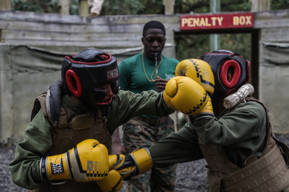 Hotel Company Body Sparring