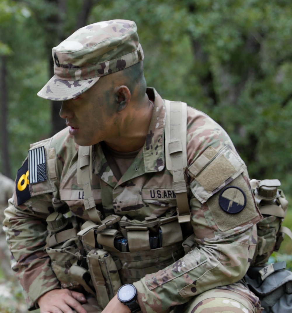 CYBER SNAPSHOT: Sgt. 1st Class Le, Dung Thien