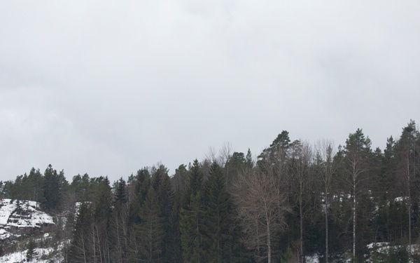 U.S. Marines with Combat Logistics 6 Conduct an Aerial Delivery with Finnish KASA 295 Aircraft