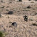 TACP Airmen conduct exercise Hustler Flag 22-2