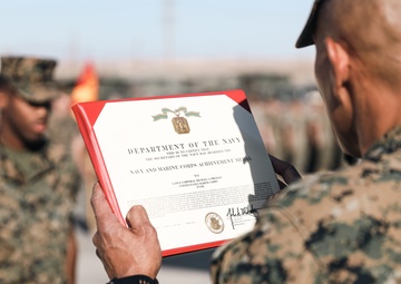 Cannoneer stationed at MCAGCC awarded for saving people involved in a vehicle rollover