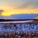 Snowy Sunset at Fort McCoy's Young Air Assault Strip