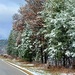 November 2022 snow scenes at Fort McCoy