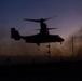 U.S. Marines conduct a noncombatant evacuation operation training exercise