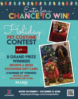 Festive Fur-Babies Can Fetch $3,000 in Holiday Prizes in Exchange Pet Photo Contest