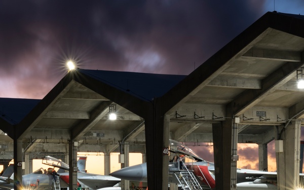 Eagles into the evening