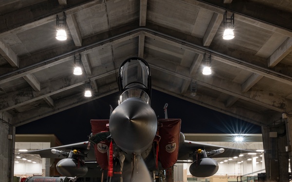 Eagles into the evening