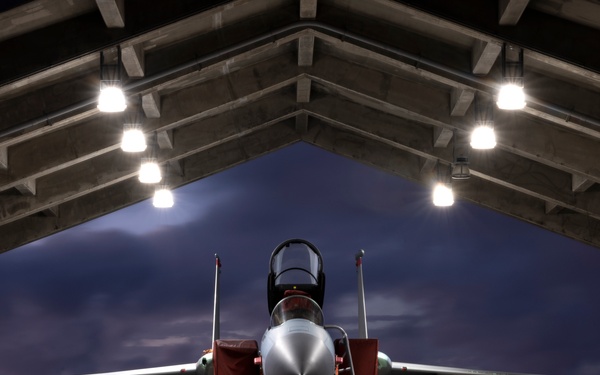 Eagles into the evening