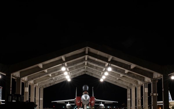 Eagles into the evening