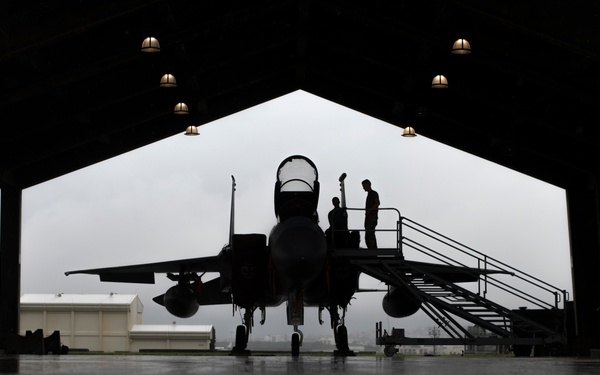 Eagles into the evening