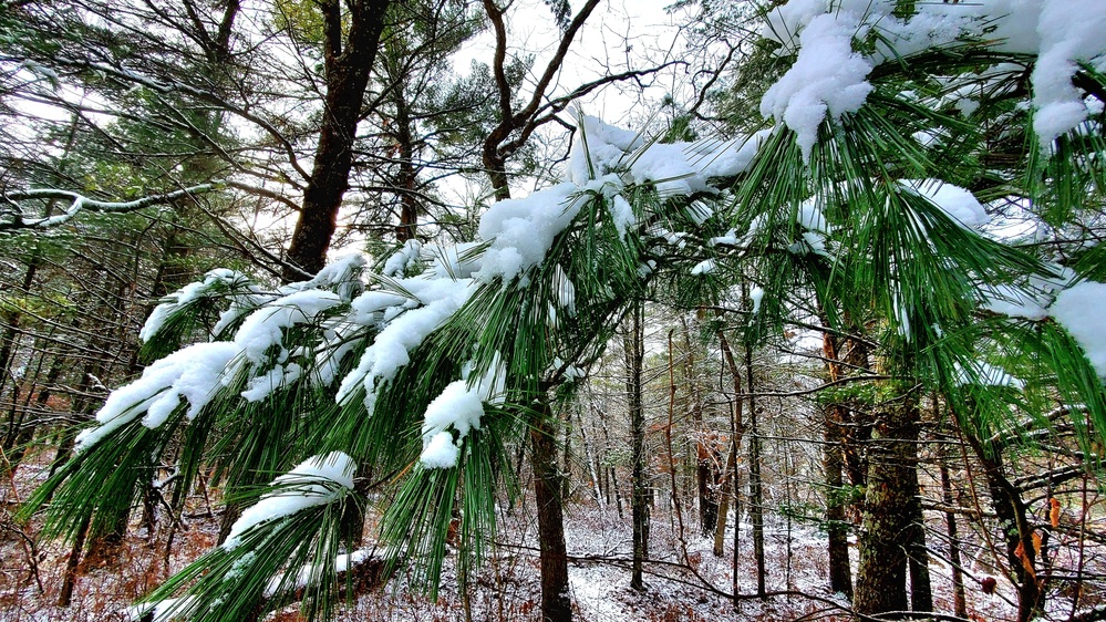 Fort McCoy's Pine View Recreation Area