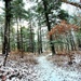 Fort McCoy's Pine View Recreation Area